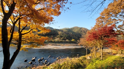 섬진강 가을 단풍