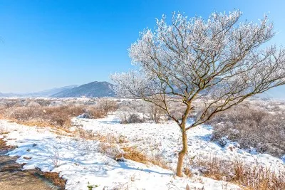 하동 겨울 설경